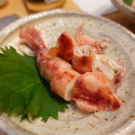 酒肴紀乃 - 子持ちイカのなんか