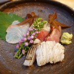 酒肴紀乃 - お造り盛り合わせ