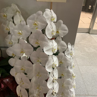 銀座 大石 - 