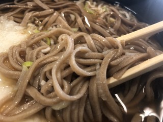 Teuchi Soba - 