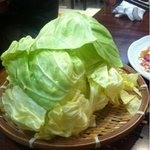 炭火焼 七厘 - ざく切りキャベツ550円