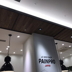 PAINPRO - 