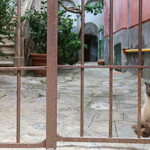 Gran Caffè Gambrinus - お隣にはヒマラヤン