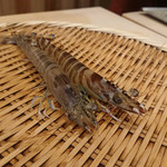 魚祥 - 車海老！ピッチピチでした(o^^o)