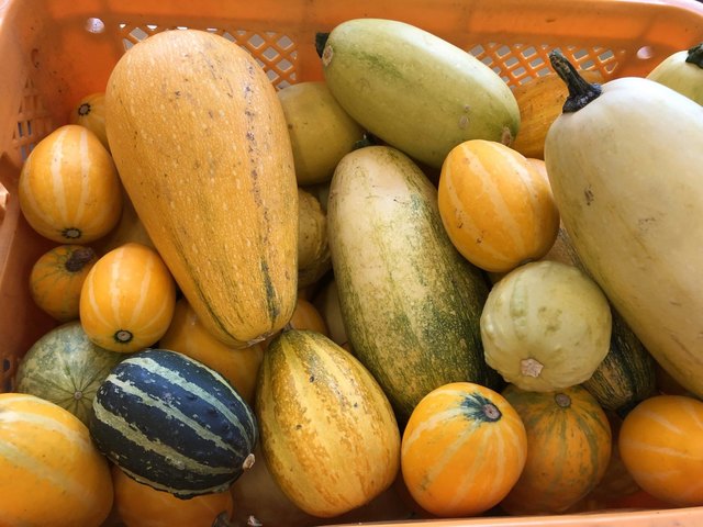 美森マルシェ &ndash; 羽前松岡｜山形・小国町の地元食材を楽しむカフェ