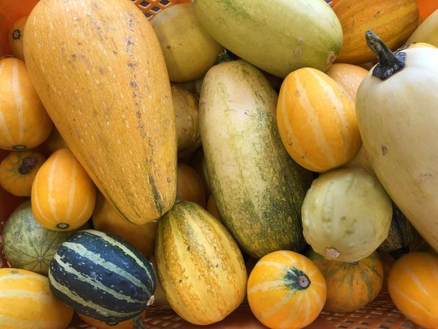 美森マルシェ - 羽前松岡（その他）の写真