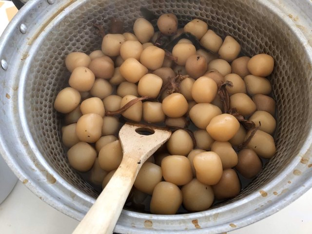 美森マルシェ - 羽前松岡（その他）の写真