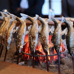 2019年10月再訪：天然鮎☆