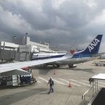 てんぐ - 福岡空港到着