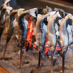 柳家 - 2019年10月再訪：天然鮎☆