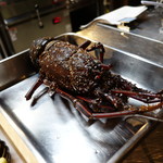 明道町中国菜 一星 - 本日の伊勢海老