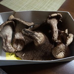 かたつむり - 香茸