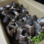 かたつむり - 老茸(ろうじ)