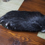 かたつむり - 熊の手