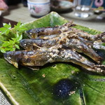 かたつむり - 郡上天然鮎