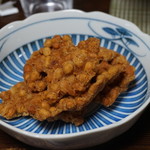 かたつむり - 高山まめつかげ