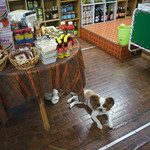 ダーセッティ・ルアトーン - 