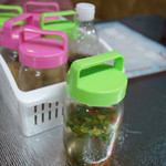 ダーセッティ・ルアトーン - 