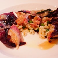 フォリオリーナ・デッラ・ポルタ・フォルトゥーナ - 