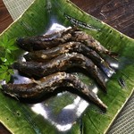 かたつむり - 郡上天然鮎