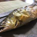 かたつむり - 郡上天然鮎