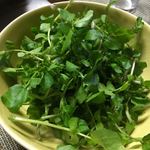 かたつむり - 天然クレソン