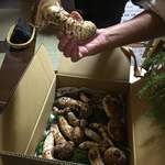 かたつむり - 極太ですね！