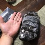 かたつむり - 熊の手 大きさ比較