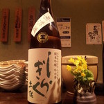 もんや - 土佐しらぎく