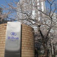 ロビーラウンジ 「マーブルラウンジ」 ヒルトン東京 - 