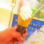 tapi - 北海道ソフトクリーム・ワッフルコーン　３３０円（税込）【２０１９年１０月】