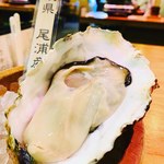 カキ小屋 - 2019年9月26日、宮城県尾浦で取れたプリッとした
クリーミーな生牡蠣です。
レモンで頂くと一層甘みを感じる美味しい牡蠣ですよ。