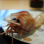 割烹 傳承ゑ美寿 - 