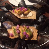 D'ORO HATSUDAI - 
