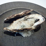 Fujiya 1935 - 2012年2月赤穂産牡蠣　タピオカ