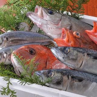 In stock every day! Good live fish sashimi★