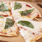 ベクタービア - 