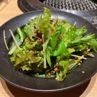 尾崎牛焼肉 銀座 ひむか - 