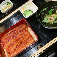 うなぎ 目白ぞろ芽 - 共水うなぎ