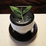 比良山荘 - コレゎ。。。茶碗蒸しかと思ったら。。