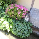 比良山荘 - コラコラ。そんなトコロでナニをしとるのじゃ。