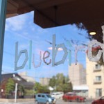 Bluebird - 