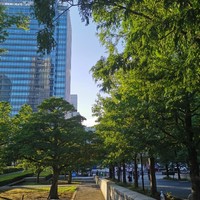 リストランテ　ウミリア - 