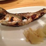 飲食笑商何屋ねこ膳 - 鰰三五八