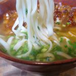 風遊斎 - カラサンスバの麺
