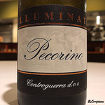 カーサ・デル・チーボ - CONTROGUERRA Pecorino 2017