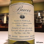 カーサ・デル・チーボ - Bucci Verdicchio dei Castelli di Jesi Superiore Classico 