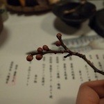 翡翠之庄 - もうすぐ春