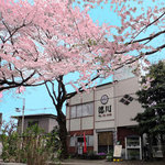 和食居酒屋　とくがわ - 春は桜のトンネル、秋は紅葉、四季折々の風景が楽しめます。