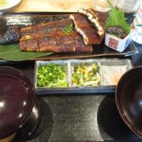 うなぎ家 しば福や - 大福うなぎ膳